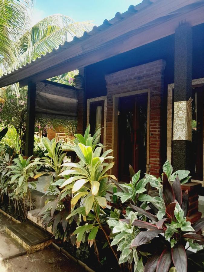 페무테란 La Paparrucha Bali B&B 외부 사진