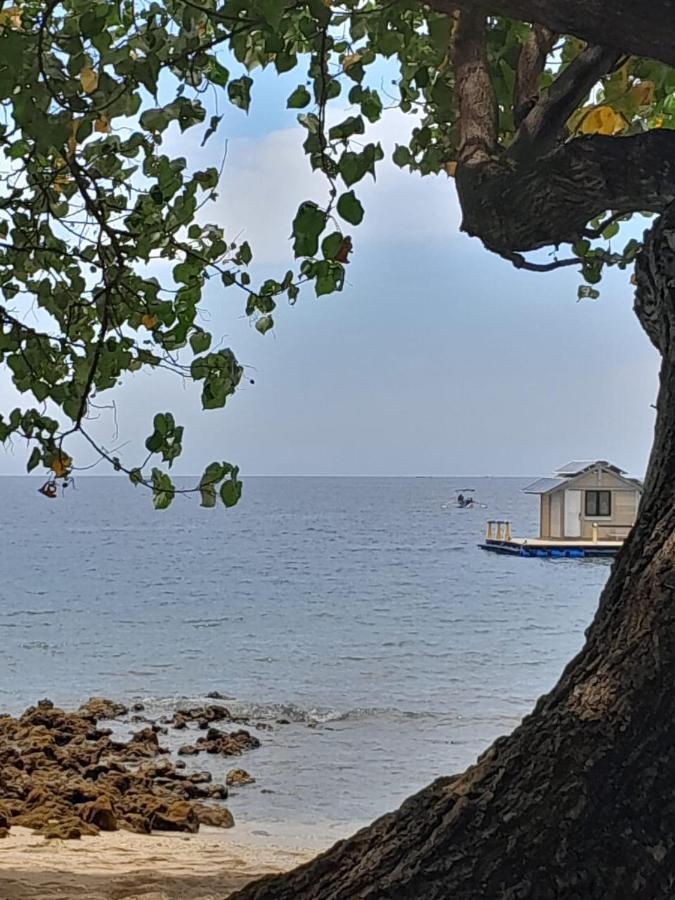페무테란 La Paparrucha Bali B&B 외부 사진