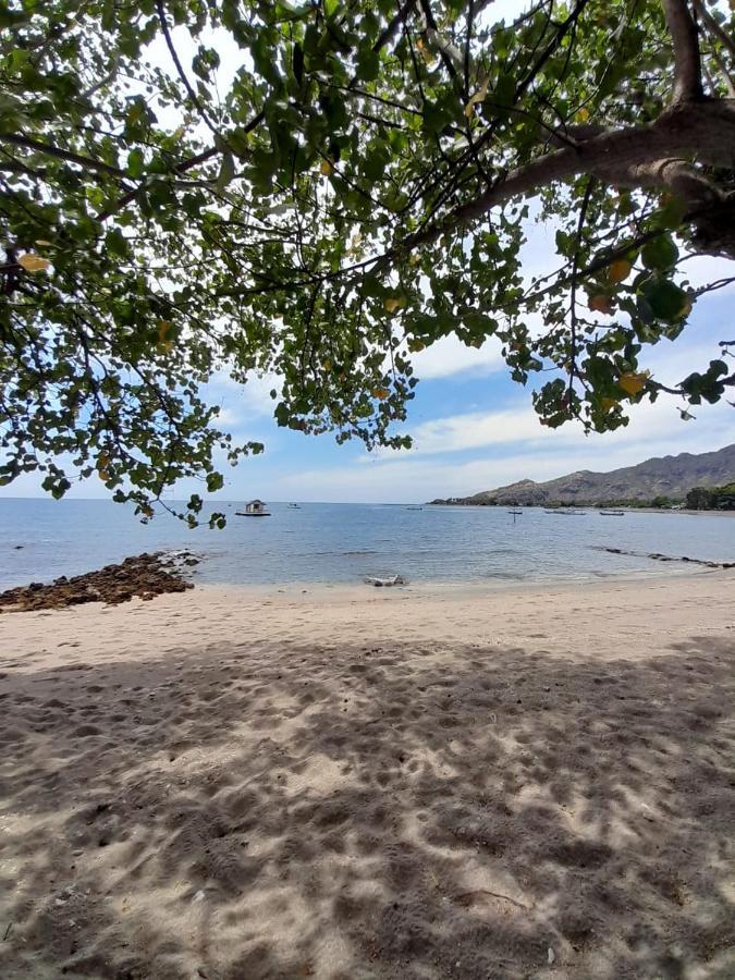 페무테란 La Paparrucha Bali B&B 외부 사진
